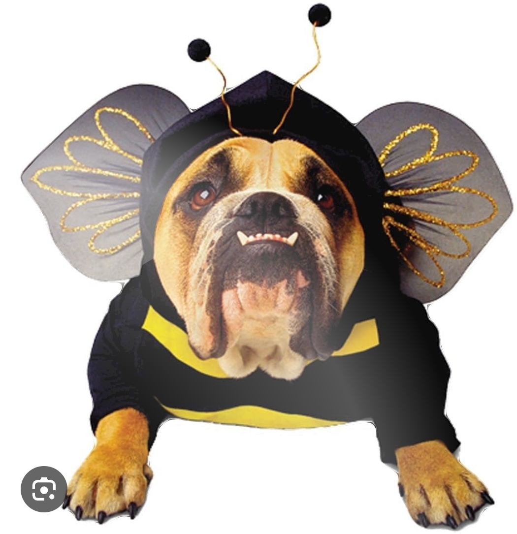 Screenshot_20241029-032312_Google.jpg