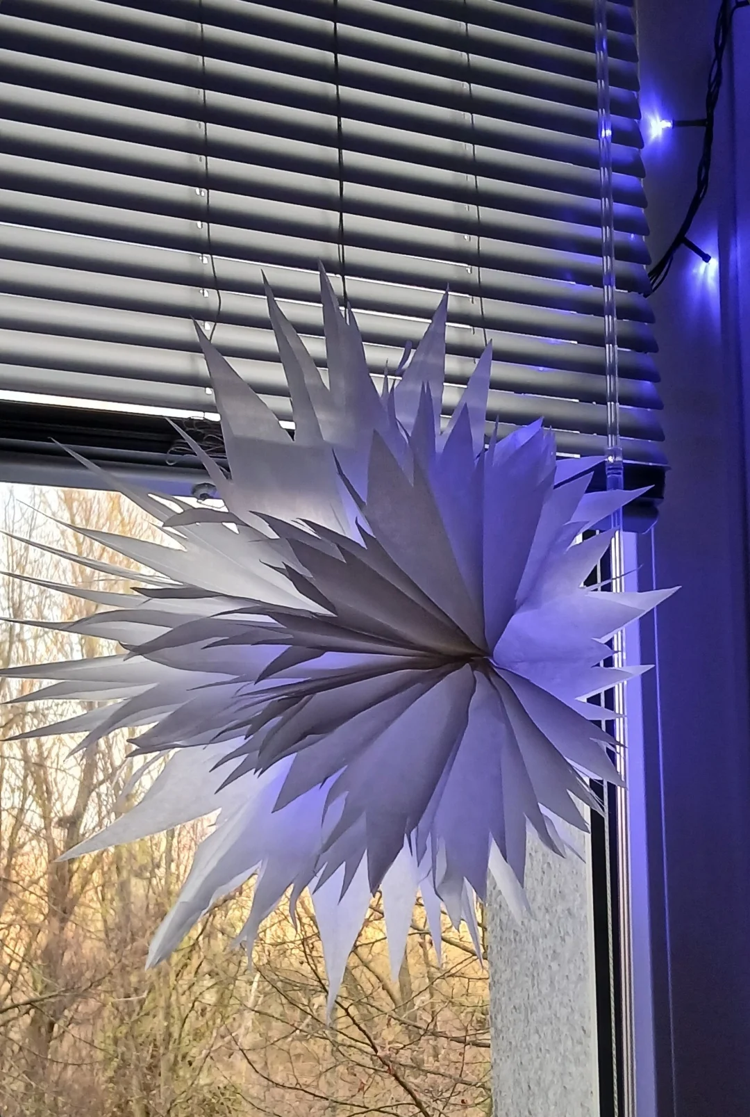 Screenshot_20241128_125236_ru.yandex.searchplugin_edit_1357545644518490 (1).webp