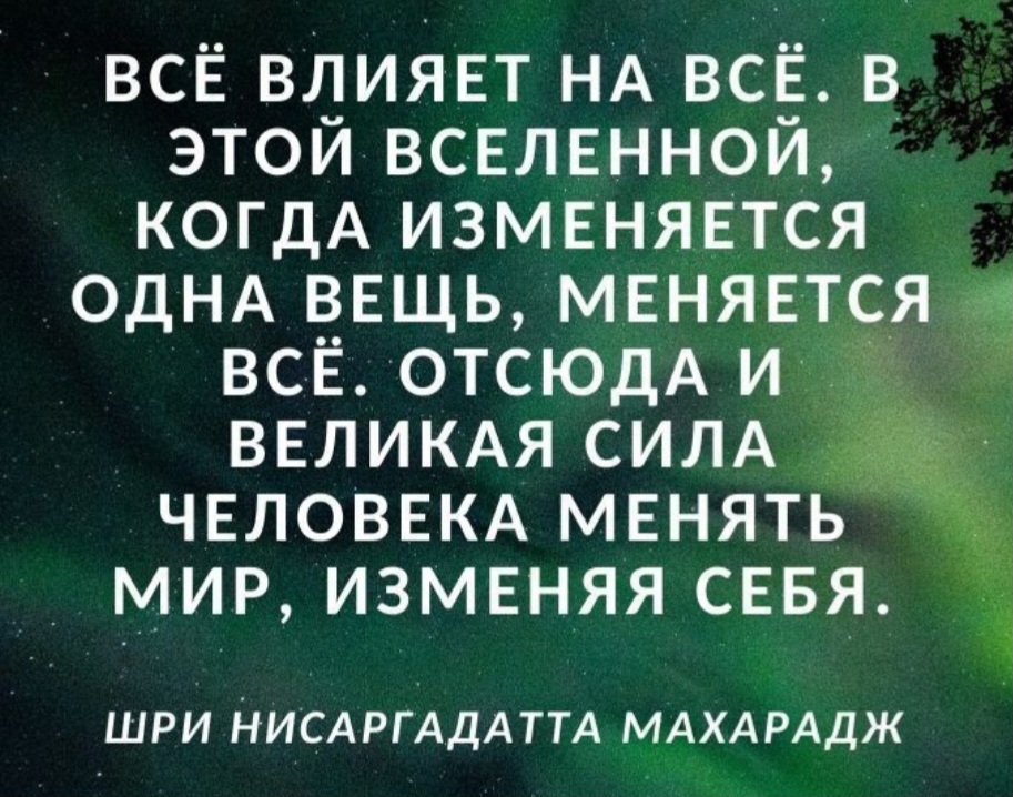 Screenshot_20241129_134137_VK.jpg