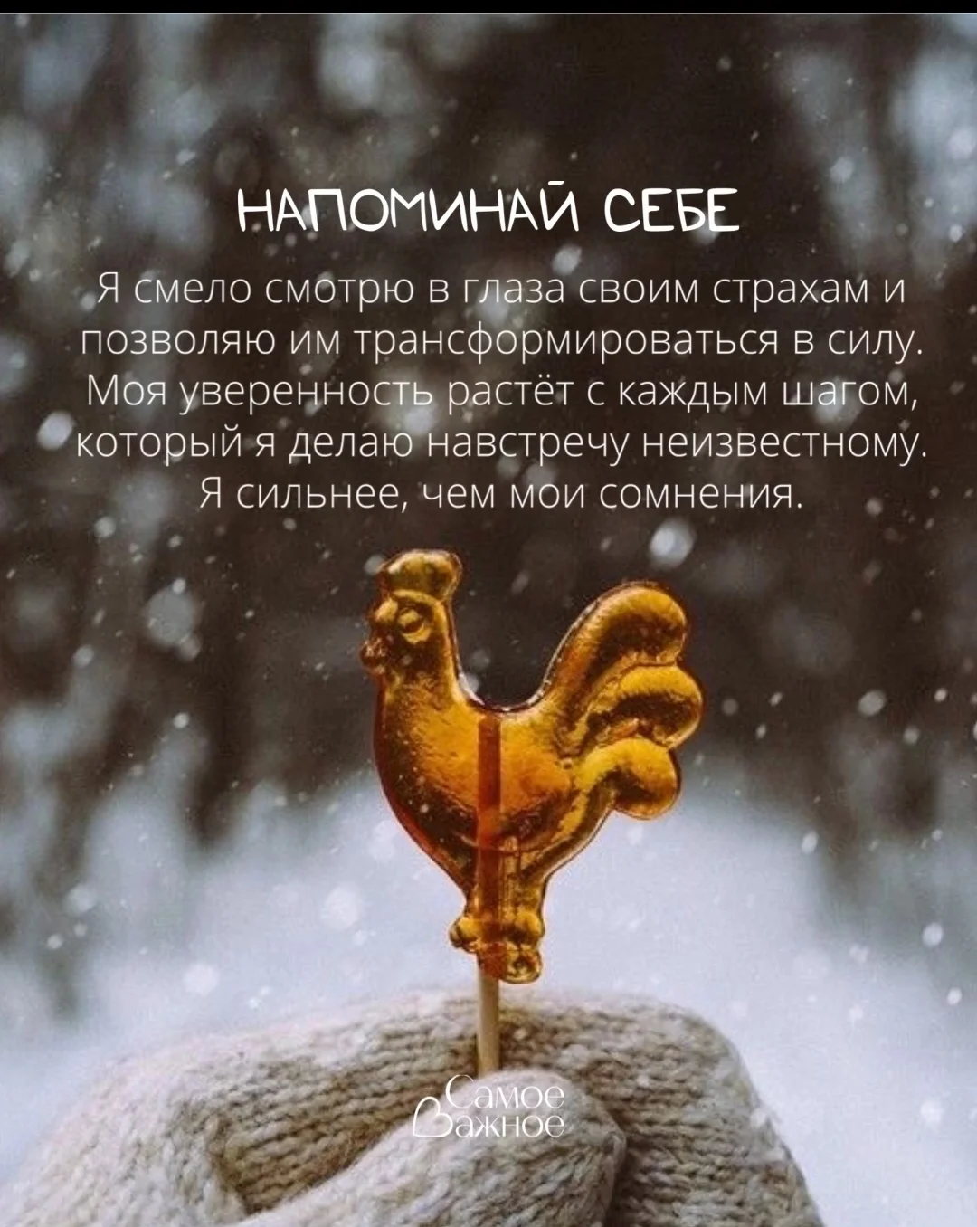 Screenshot_2025-01-07-14-46-21-635_com.vkontakte.android-edit.webp