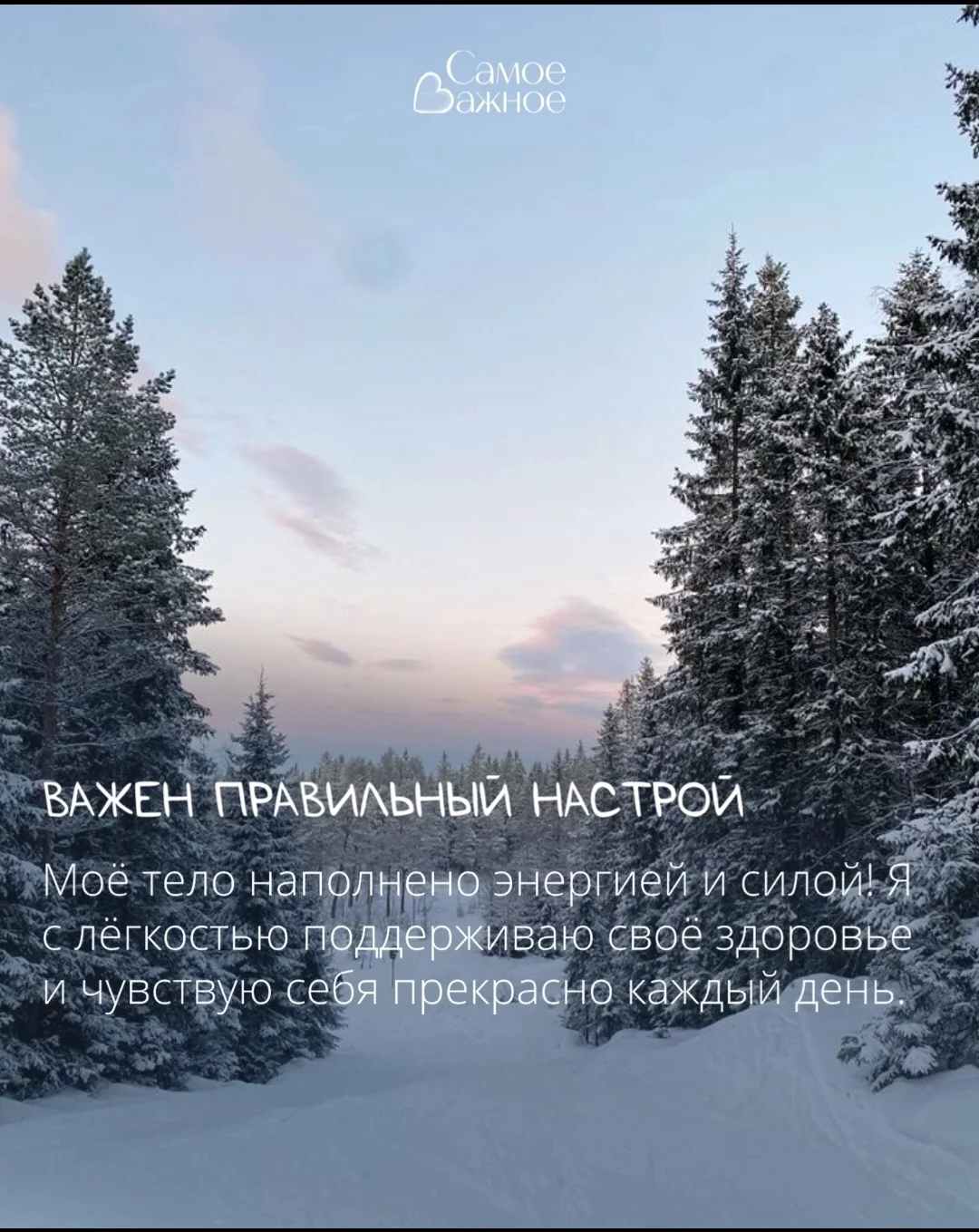 Screenshot_2025-01-08-11-18-28-945_com.vkontakte.android-edit.webp