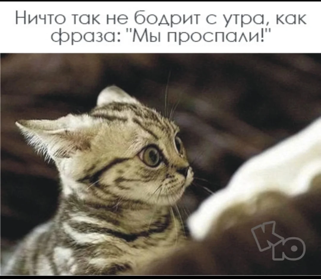 Screenshot_2025-01-13-06-01-38-976_com.vkontakte.android-edit.webp