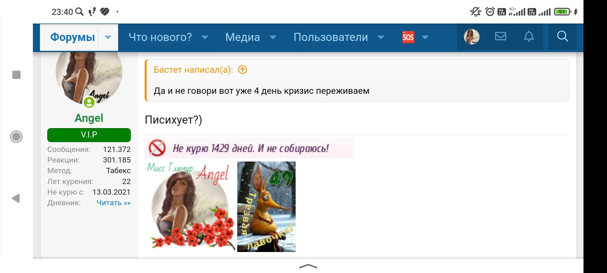Screenshot_2025-02-09-23-40-31-714_ru.yandex.searchplugin.webp