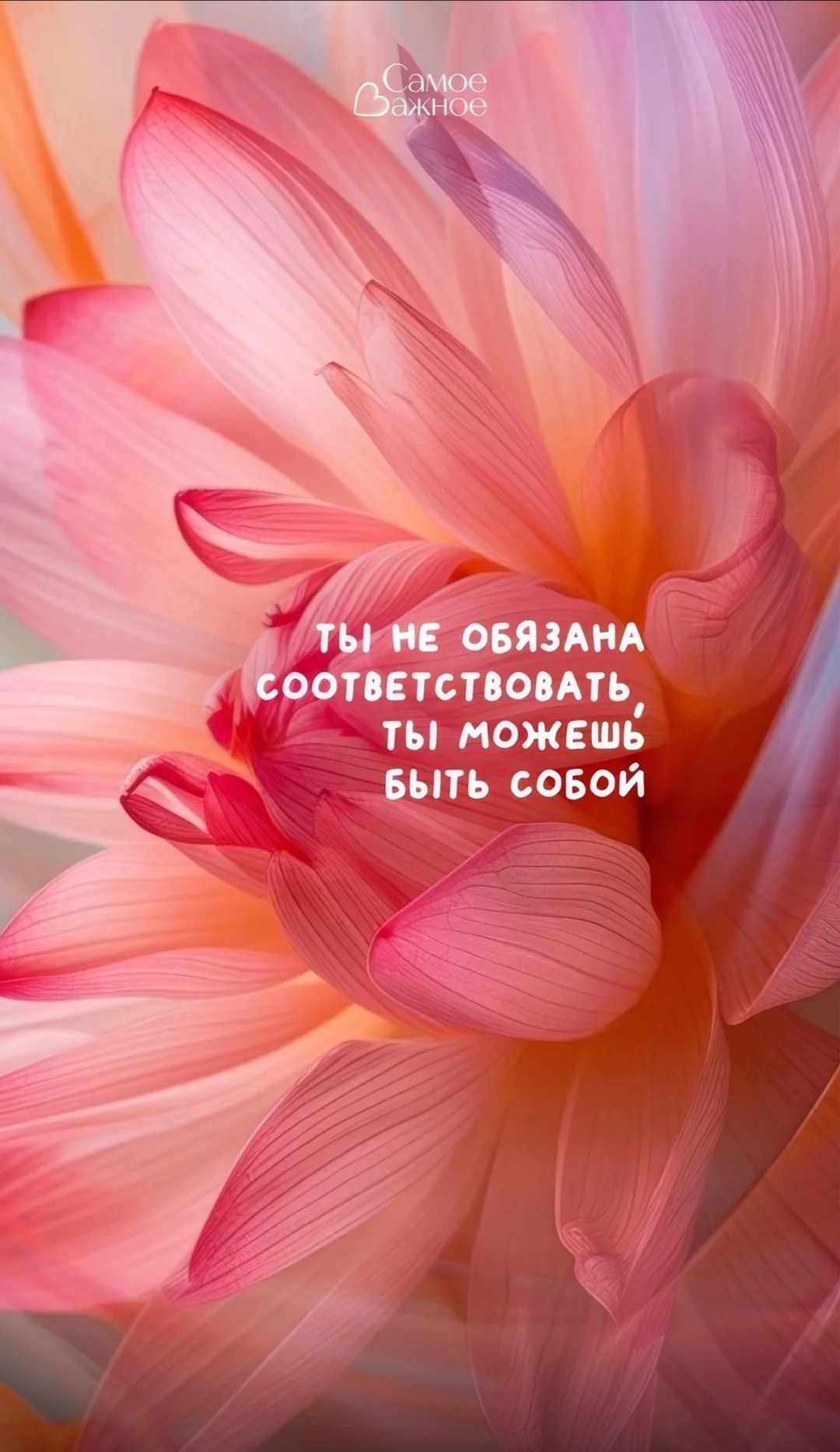 Screenshot_2025-03-03-22-28-28-216_com.vkontakte.android-edit.webp