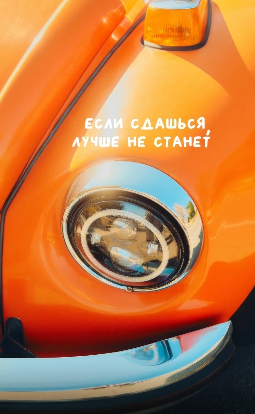 Screenshot_2025-03-31-16-47-24-817_com.vkontakte.android-edit.webp