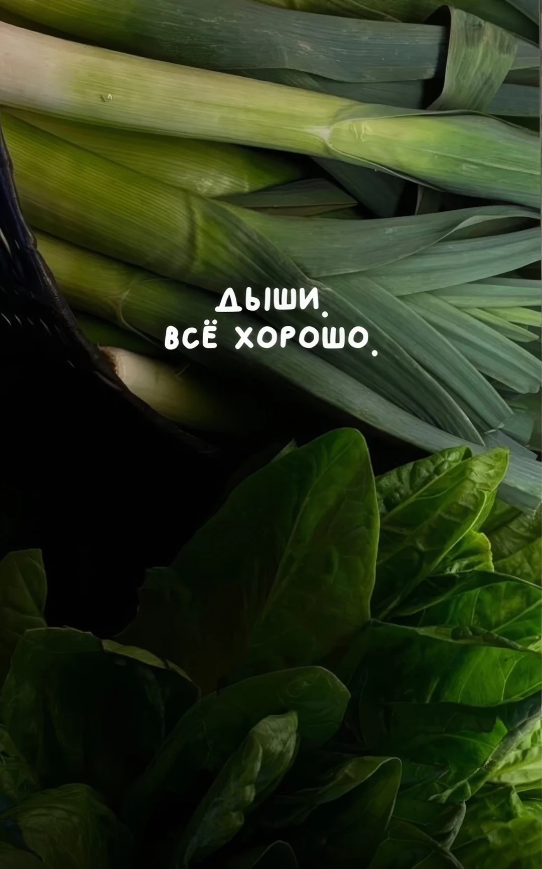 Screenshot_2025-03-31-16-47-39-683_com.vkontakte.android-edit.webp