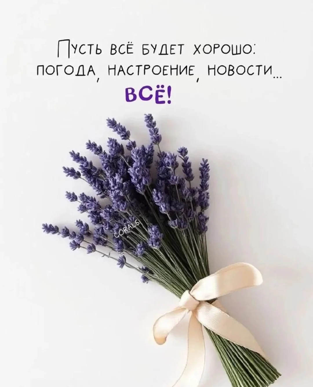 Screenshot_2025-05-14-19-46-22-838_com.vkontakte.android-edit.webp