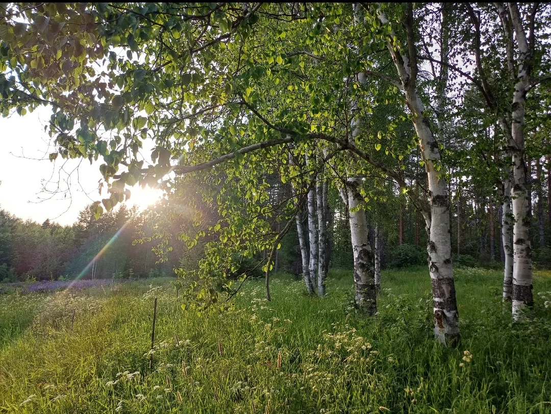 Screenshot_2025-06-24-06-39-16-505_com.vkontakte.android-edit.webp
