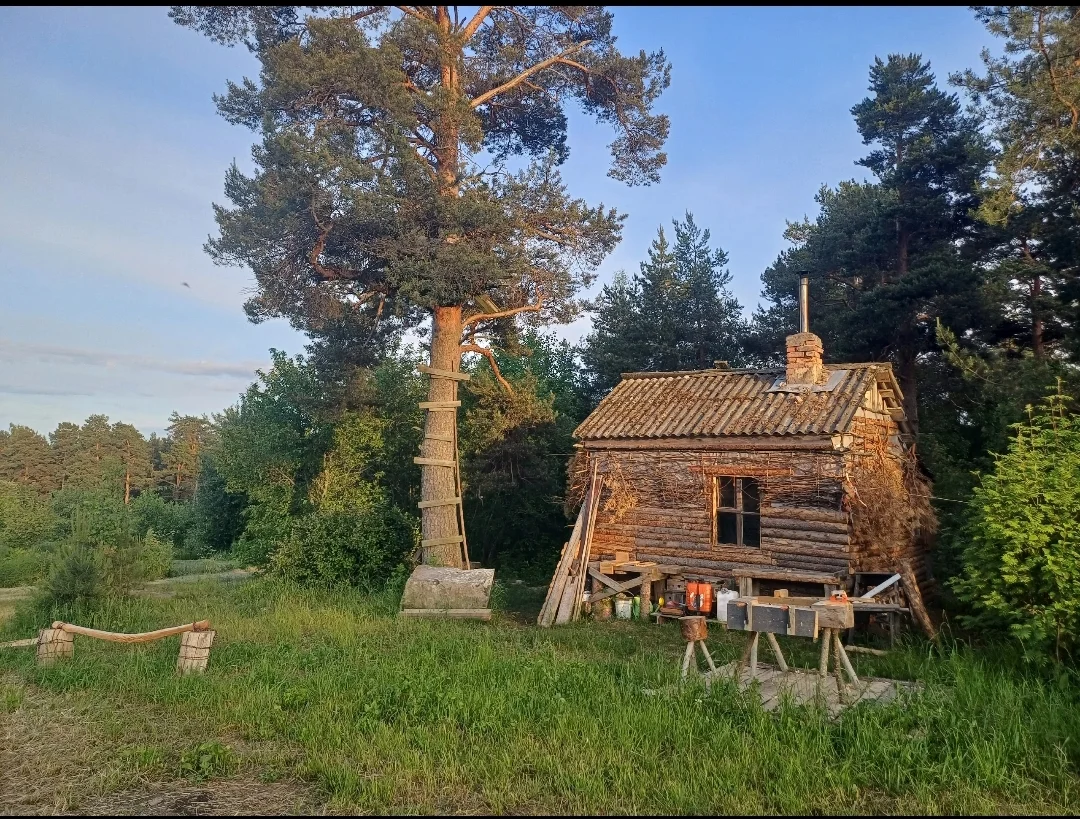 Screenshot_2025-06-24-06-39-51-928_com.vkontakte.android-edit.webp