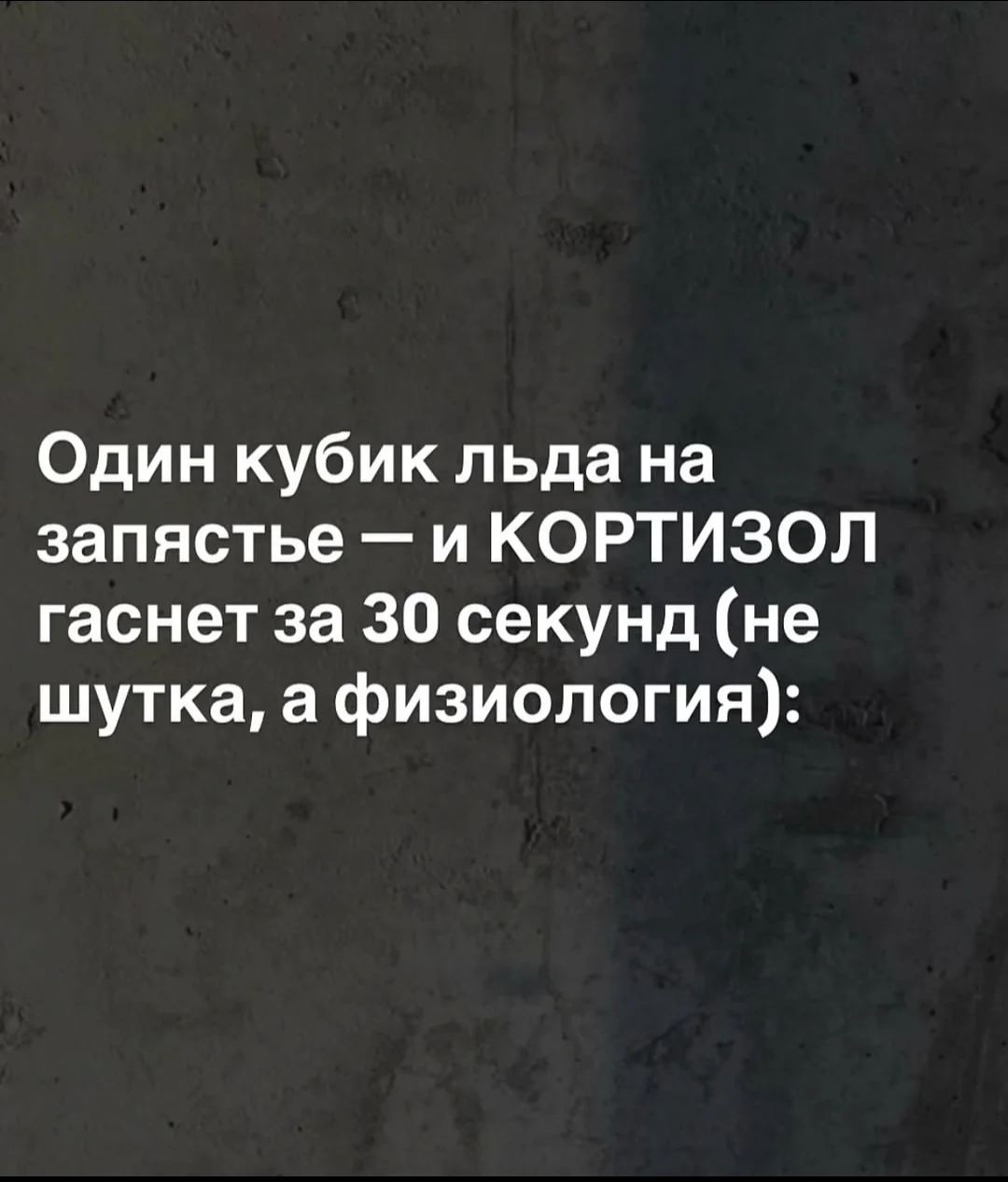 Screenshot_2025-08-16-19-53-36-138_com.vkontakte.android-edit.webp