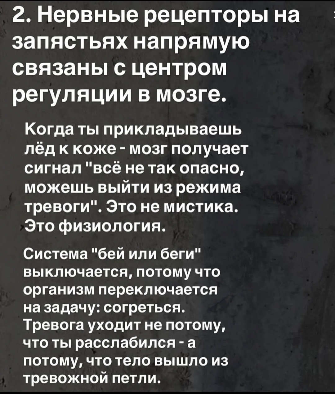 Screenshot_2025-08-16-19-53-48-690_com.vkontakte.android-edit.webp