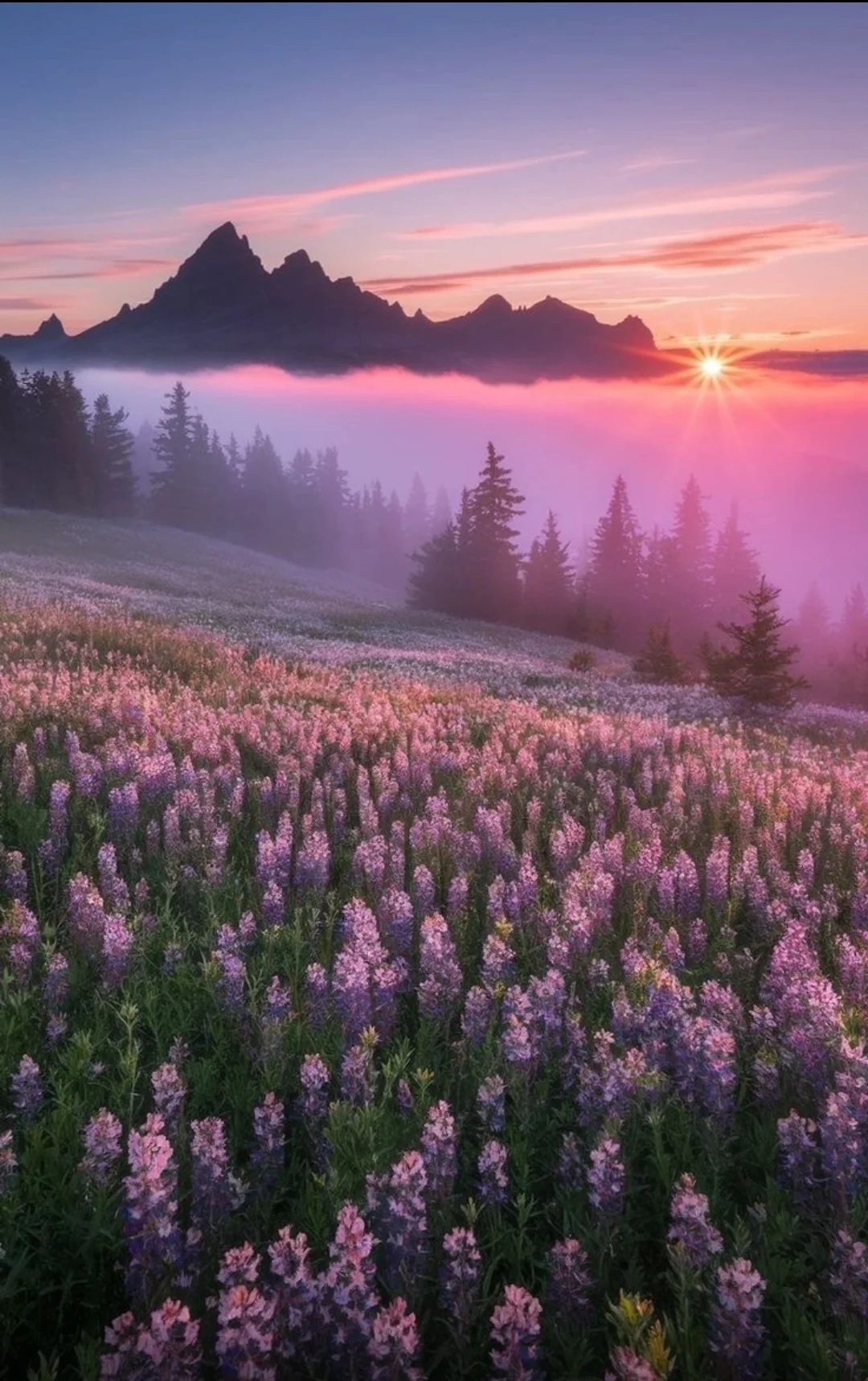 Screenshot_2025-08-17-17-10-31-353_com.vkontakte.android-edit.webp