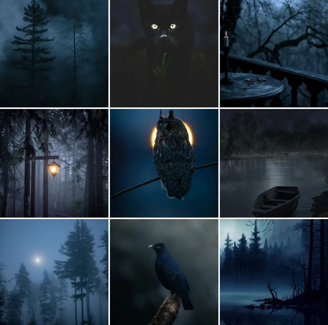 Screenshot_2025-09-03-19-23-51-773_com.vkontakte.android-edit.webp