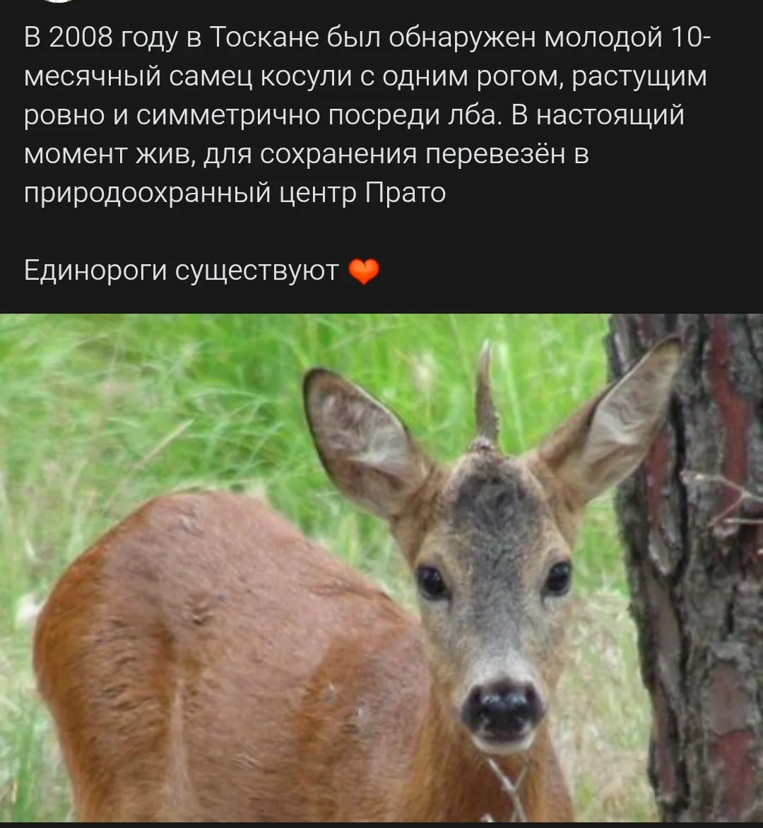 Screenshot_2025-09-06-20-31-51-288_com.yandex.browser-edit.webp