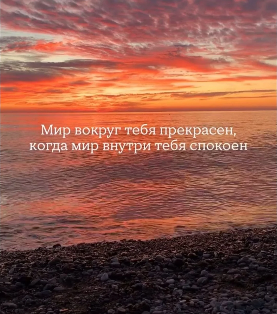 Screenshot_2025-10-01-19-59-27-510_com.vkontakte.android-edit.webp