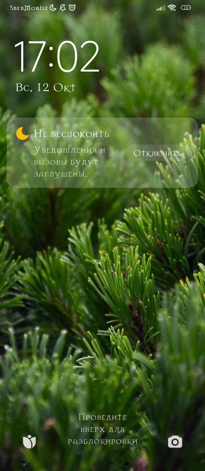 Screenshot_2025-10-12-17-02-01-084_lockscreen.webp