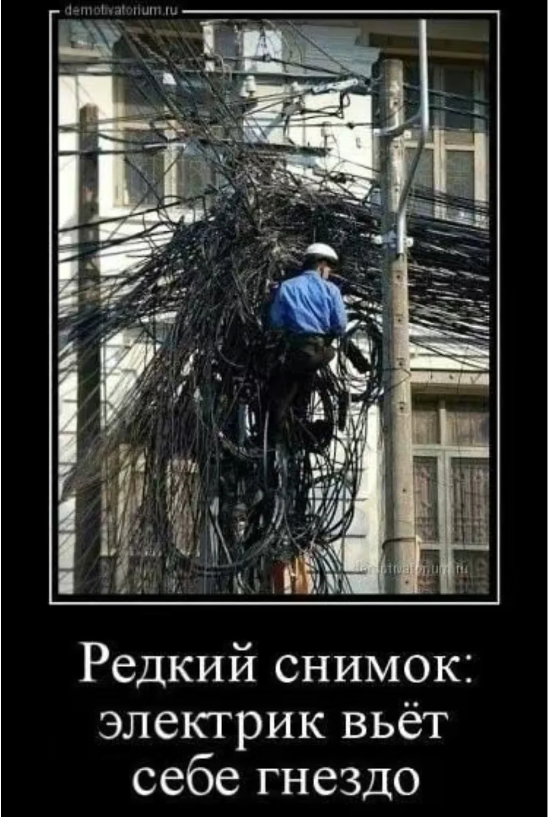 Screenshot_2025-10-17-18-59-37-803_com.vkontakte.android-edit.webp