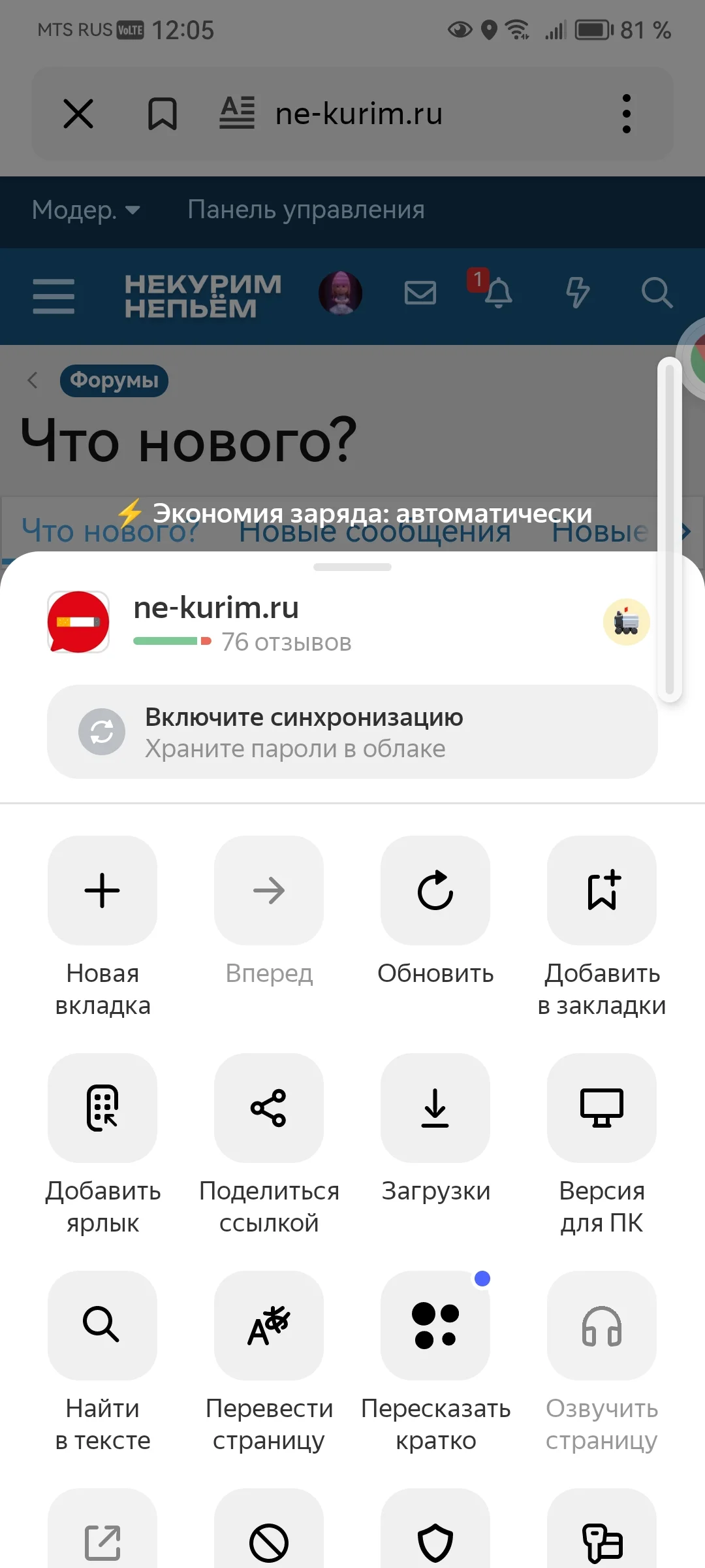Screenshot_20250105_120548_ru.yandex.searchplugin.webp