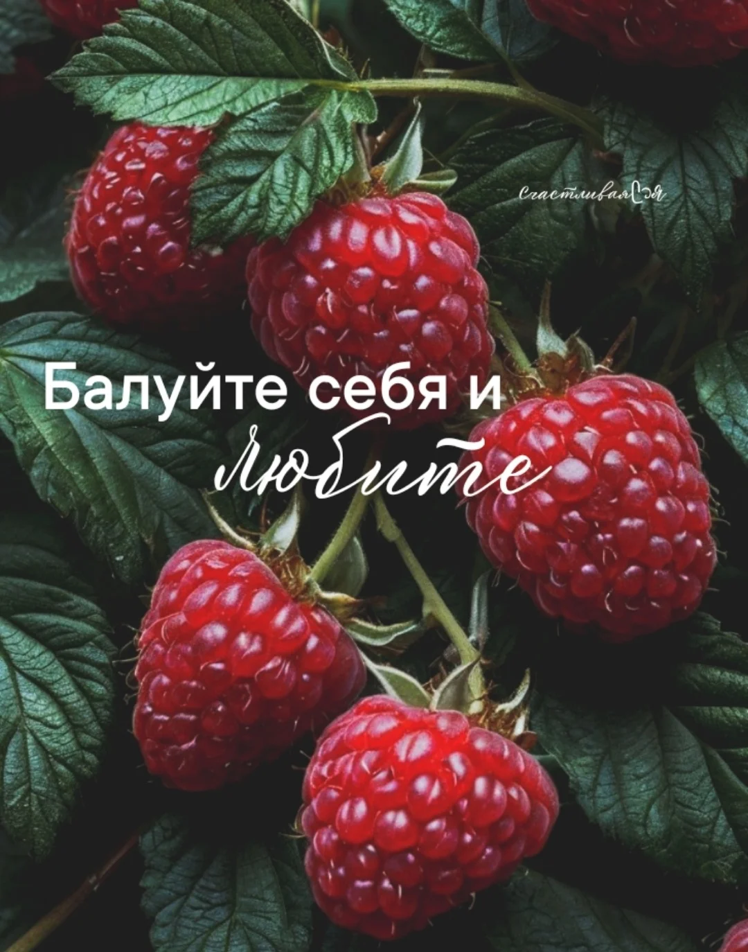 Screenshot_20250128_072409_com.vkontakte.android_edit_132643692333513.webp
