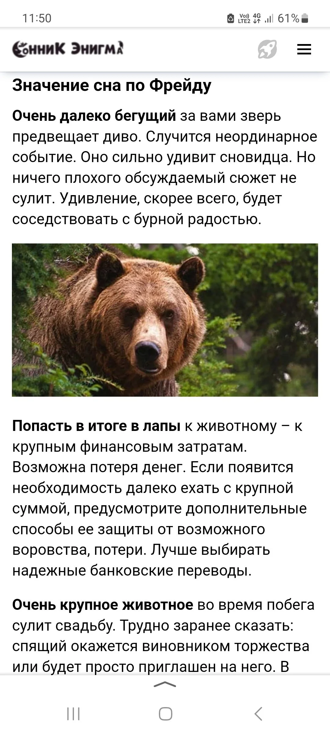 Screenshot_20250219_115053_Yandex Start.webp