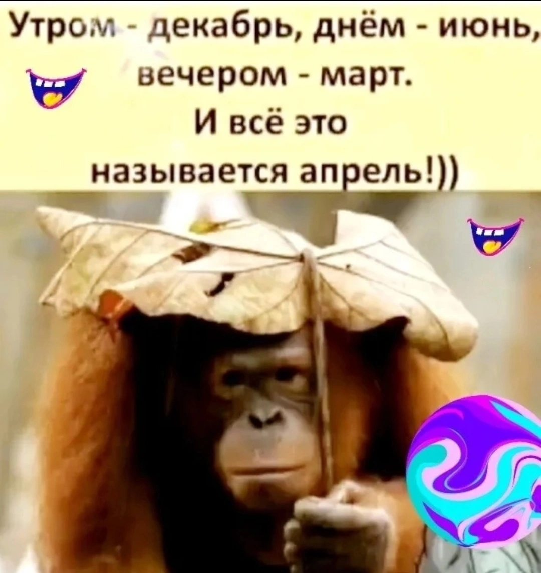 Screenshot_20250417_151400_com.vkontakte.android_edit_956628564067939.webp
