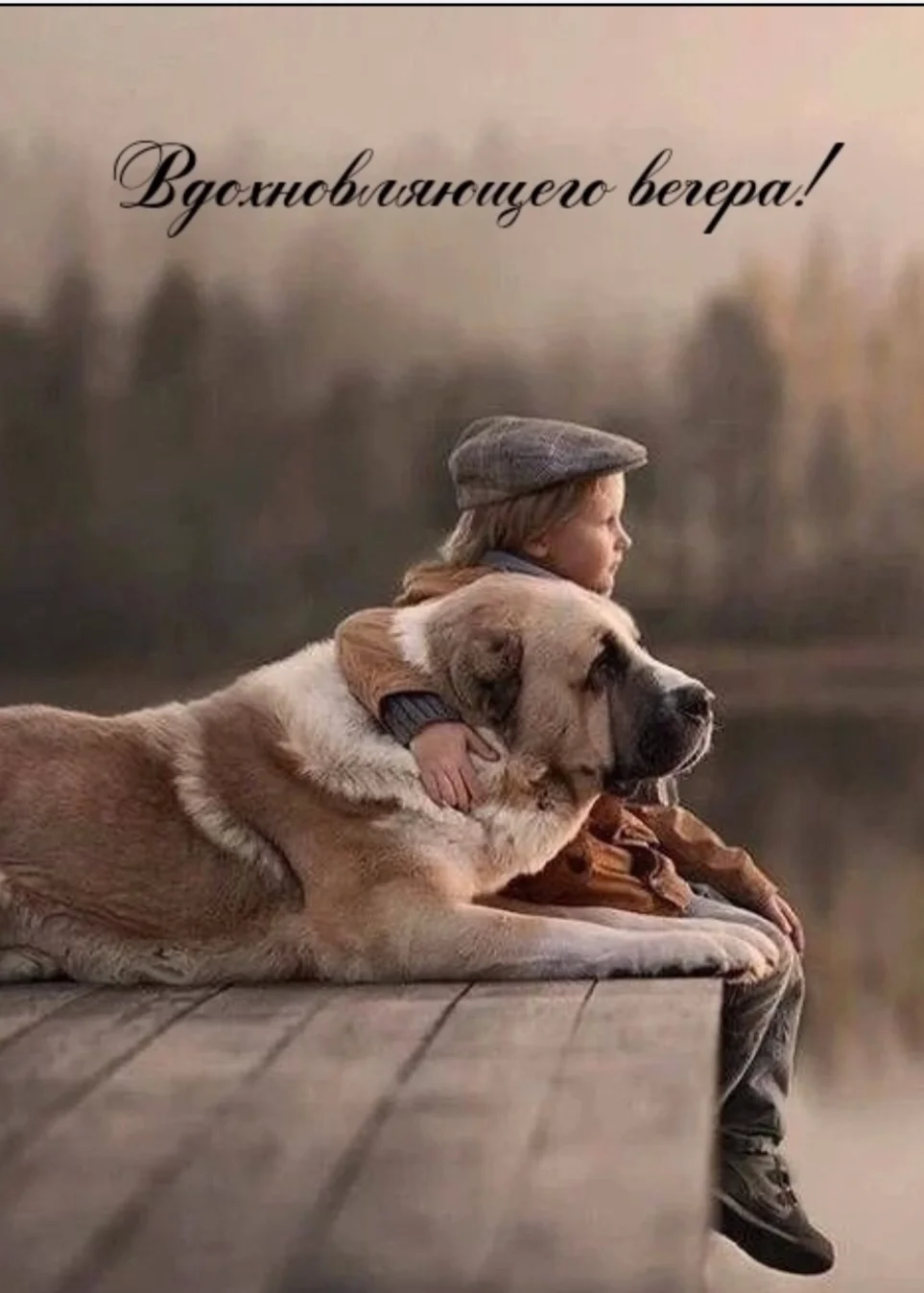 Screenshot_20250512_202538_Yandex Browser.webp