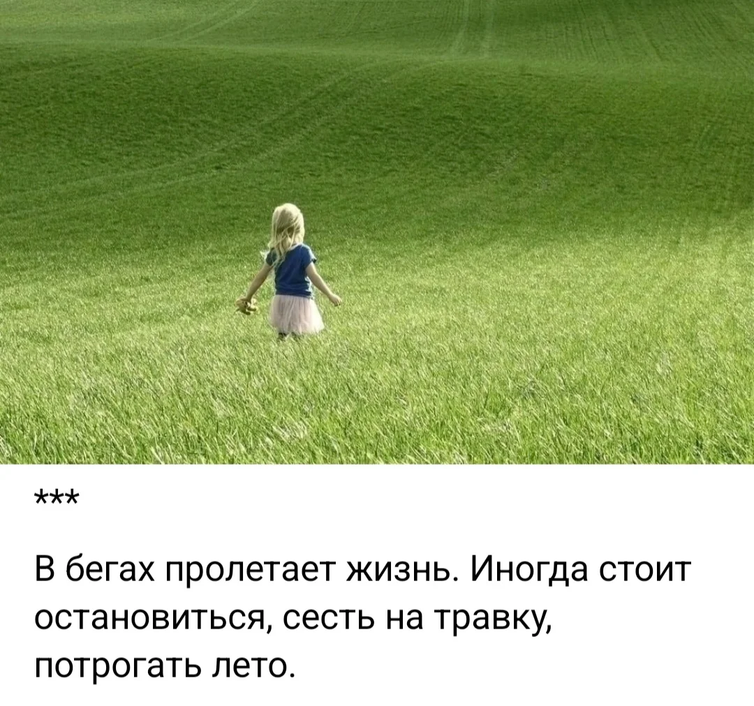 Screenshot_20250604_184025_VK.webp