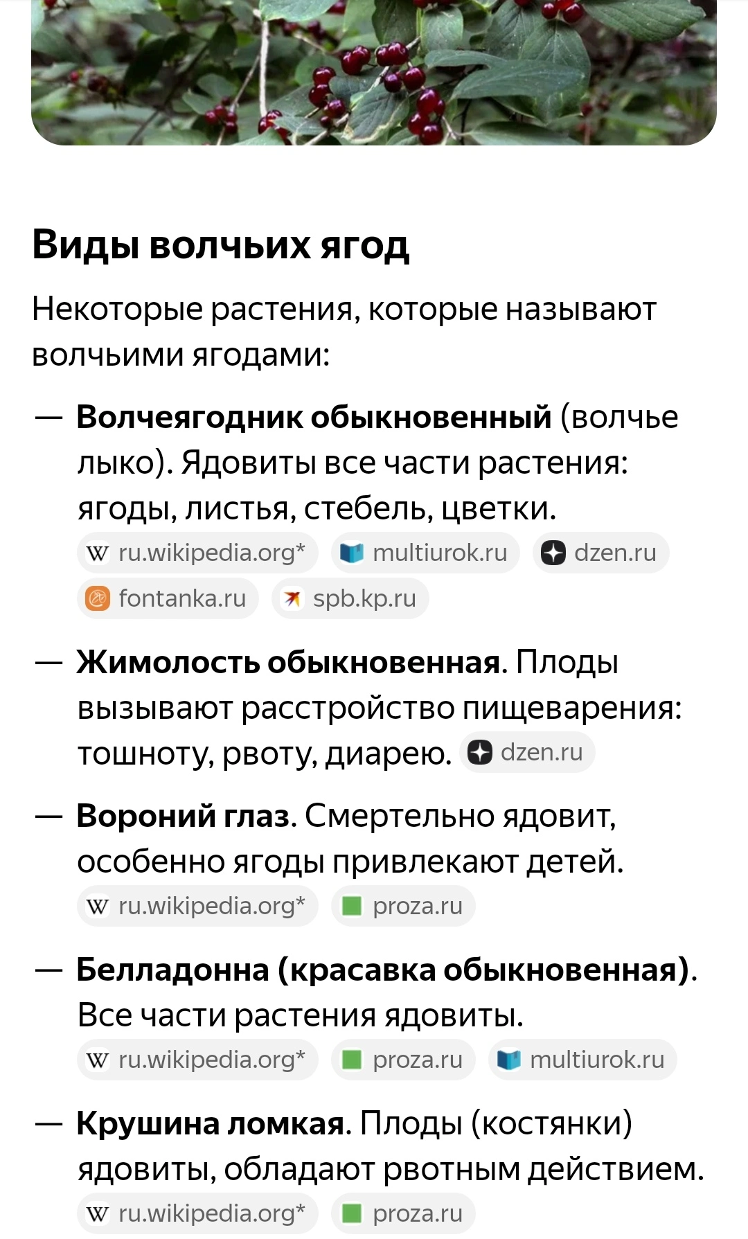 Screenshot_20250615_100014_ru.yandex.searchplugin_edit_485184403390176.webp