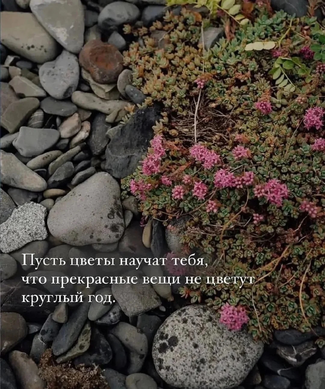Screenshot_20250818_102909_com.vkontakte.android_edit_564375186022673.webp