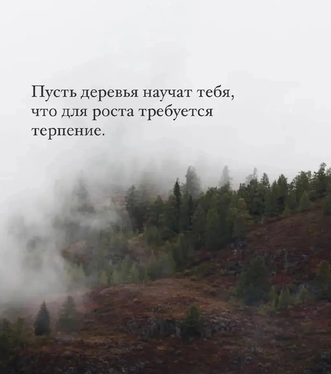 Screenshot_20250818_102917_com.vkontakte.android_edit_564390249278709.webp
