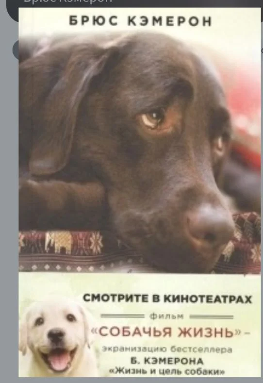 Screenshot_20251011-195046.webp