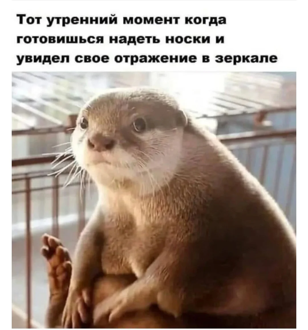 Screenshot_20251018-212255.webp