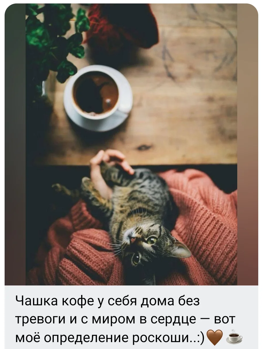 Screenshot_20251020-051259.webp