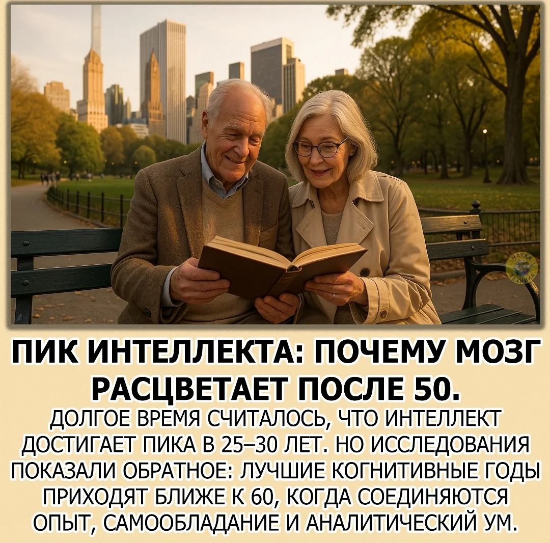 Screenshot_20251021_192201_com.vkontakte.android_edit_113303537600839.webp