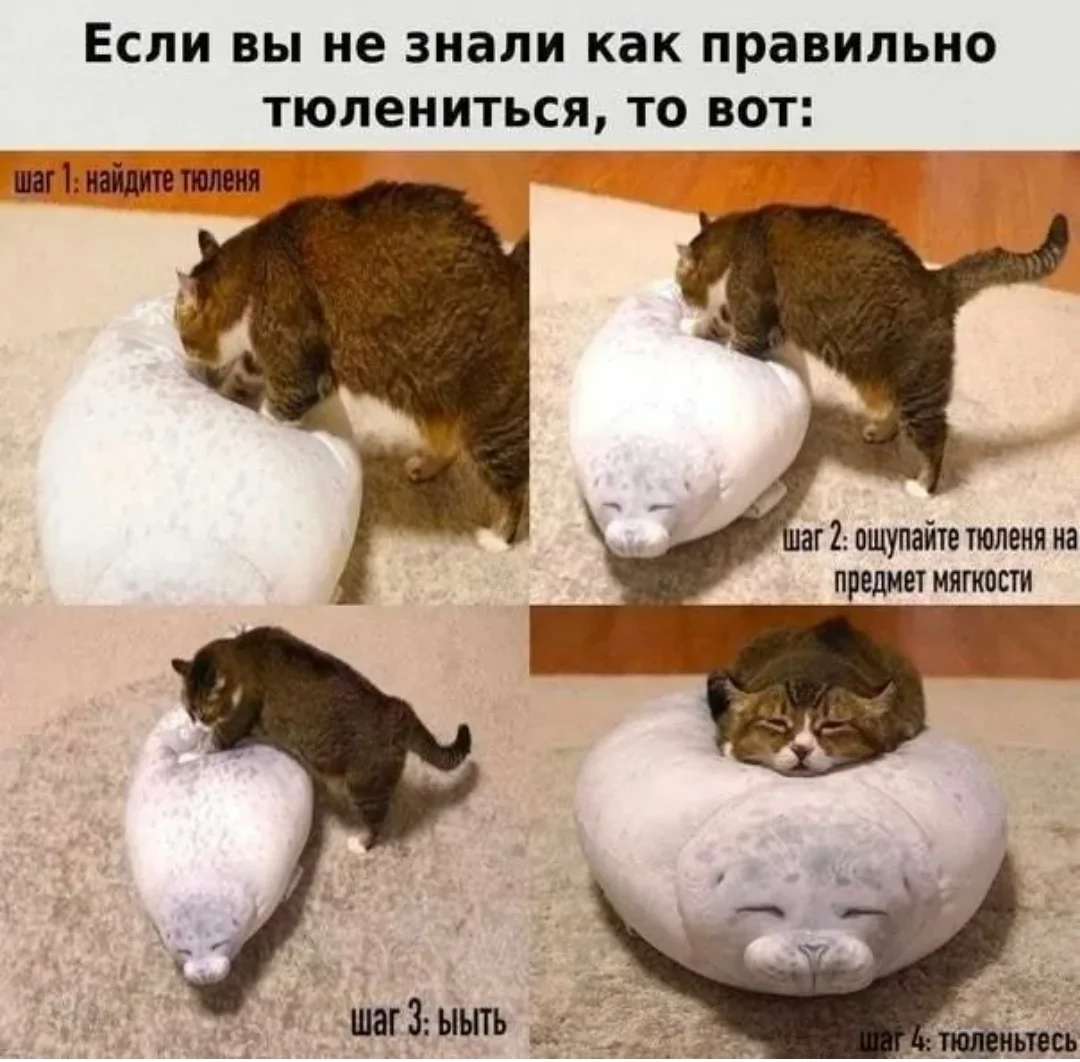 Screenshot_20251022_095012_ru.yandex.searchplugin_edit_146312879675851.webp
