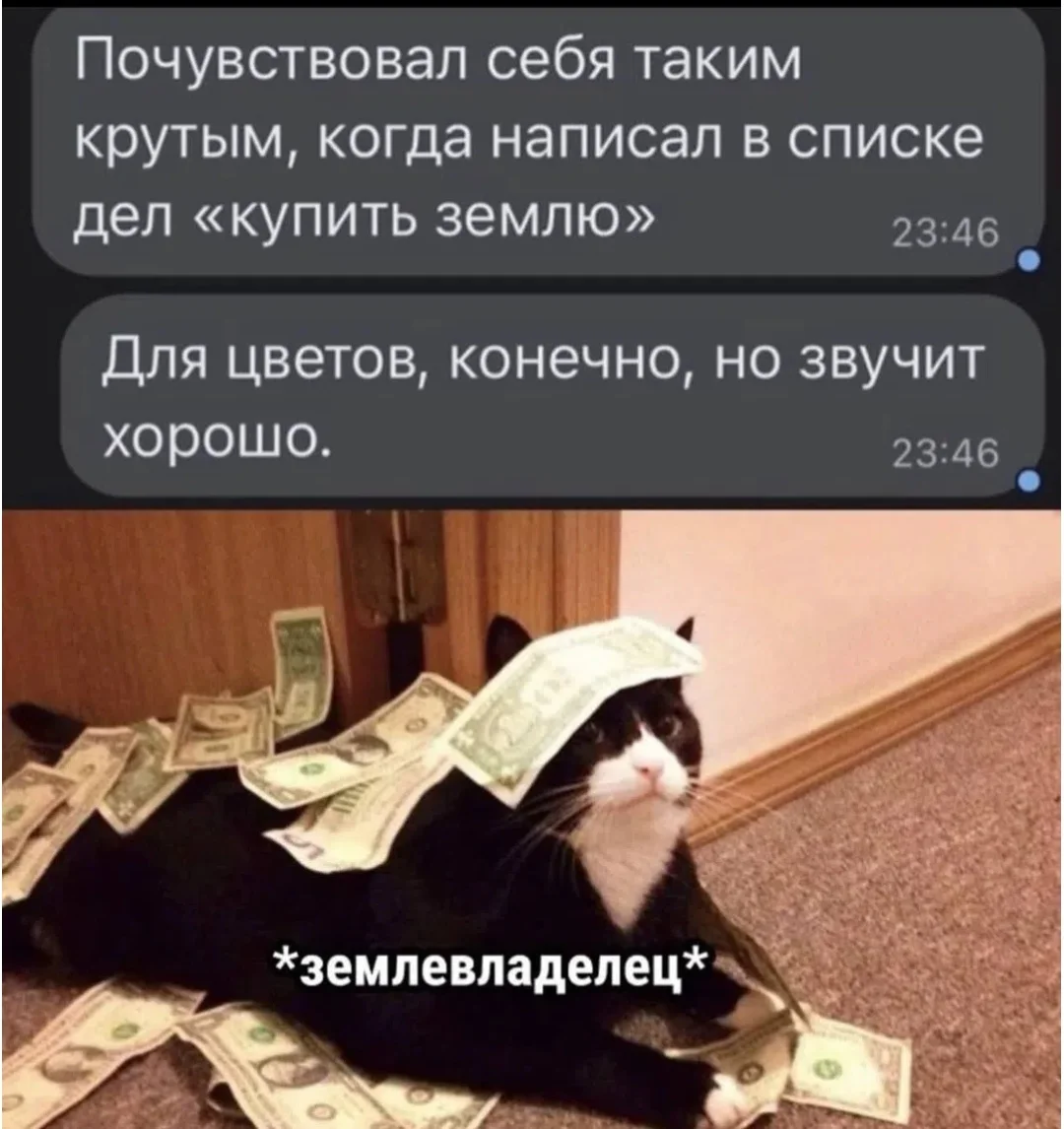Screenshot_20251024_163600_com.vkontakte.android_edit_230372570172899.webp
