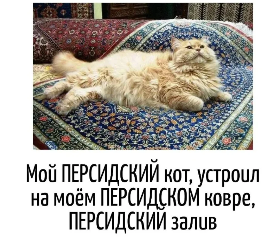 Screenshot_20251025-170718.webp