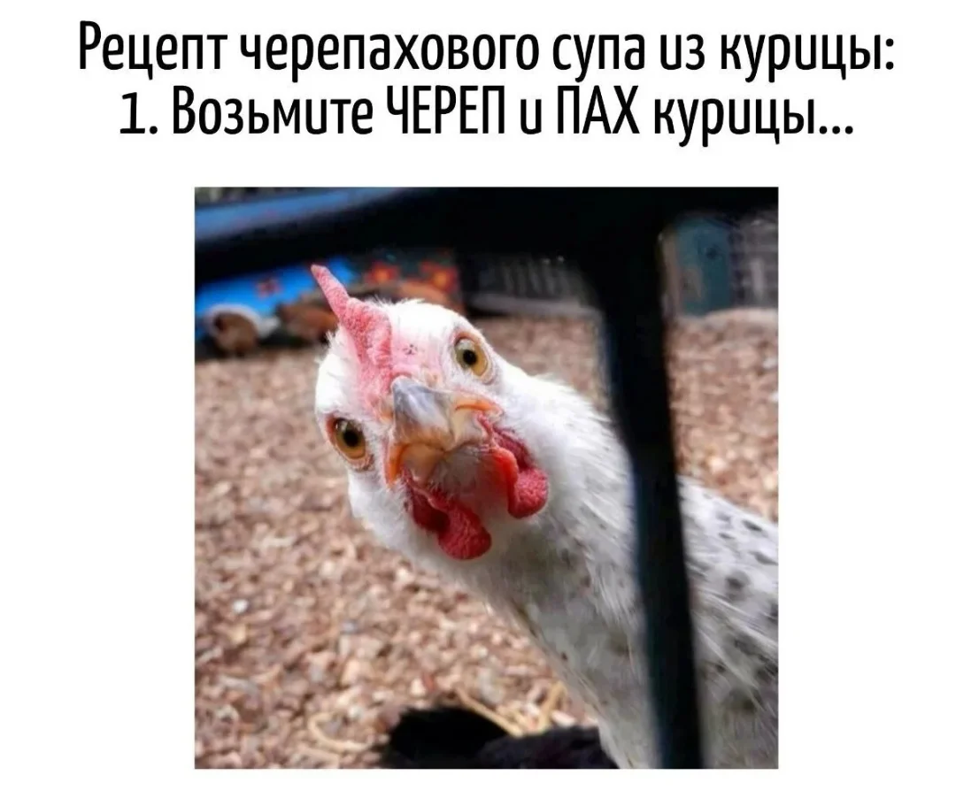 Screenshot_20251025-170829.webp