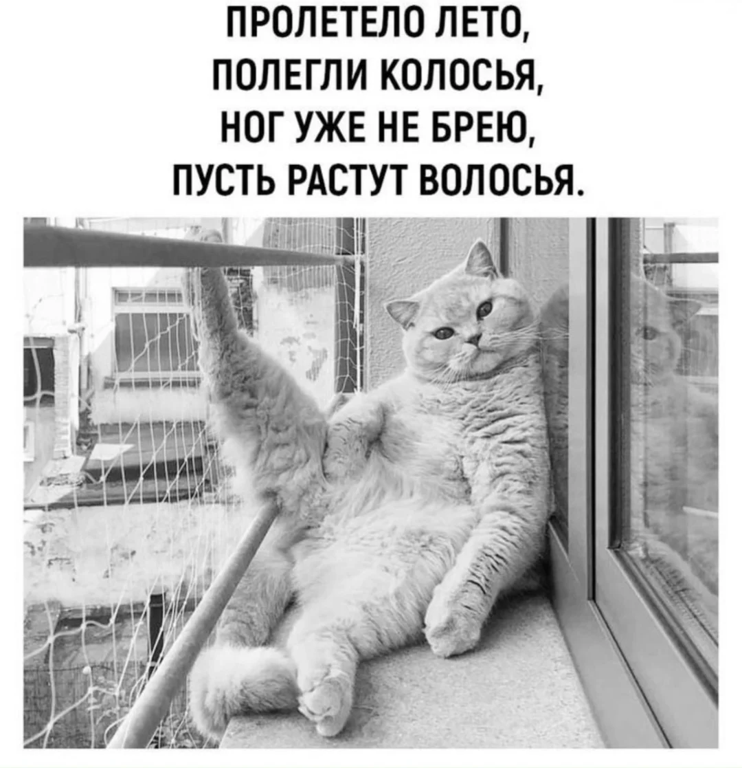 Screenshot_20251025_150404_com.vkontakte.android_edit_279323029981361.webp
