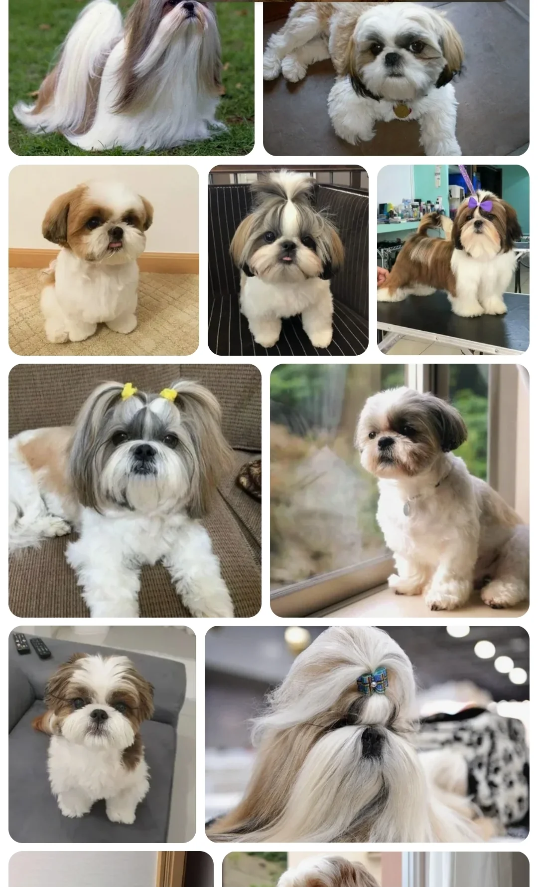 Screenshot_20251028_205217_Samsung Internet.webp