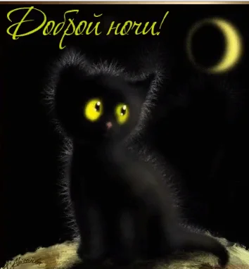 Screenshot_3.webp