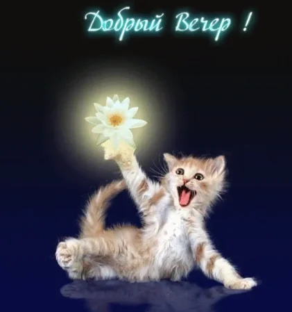 Screenshot_33.webp