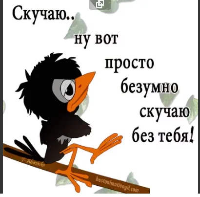 Screenshot_34.webp