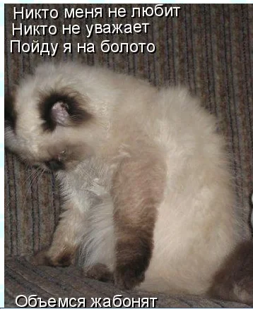 Screenshot_38.webp