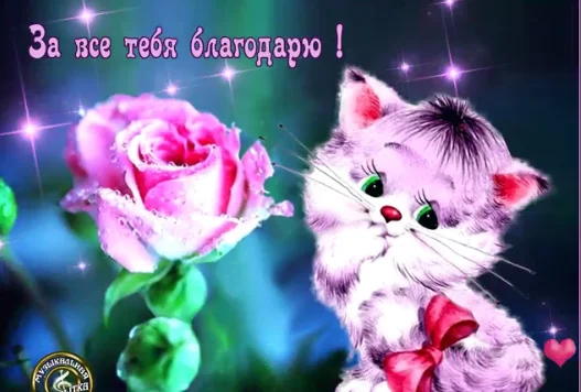 Screenshot_40.webp