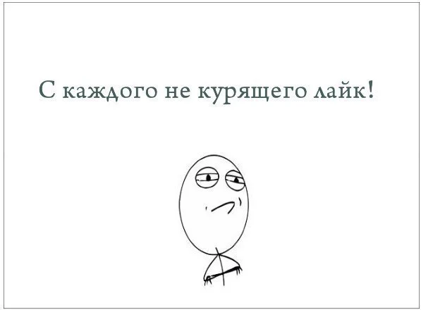 Se6tAYc3crg.webp