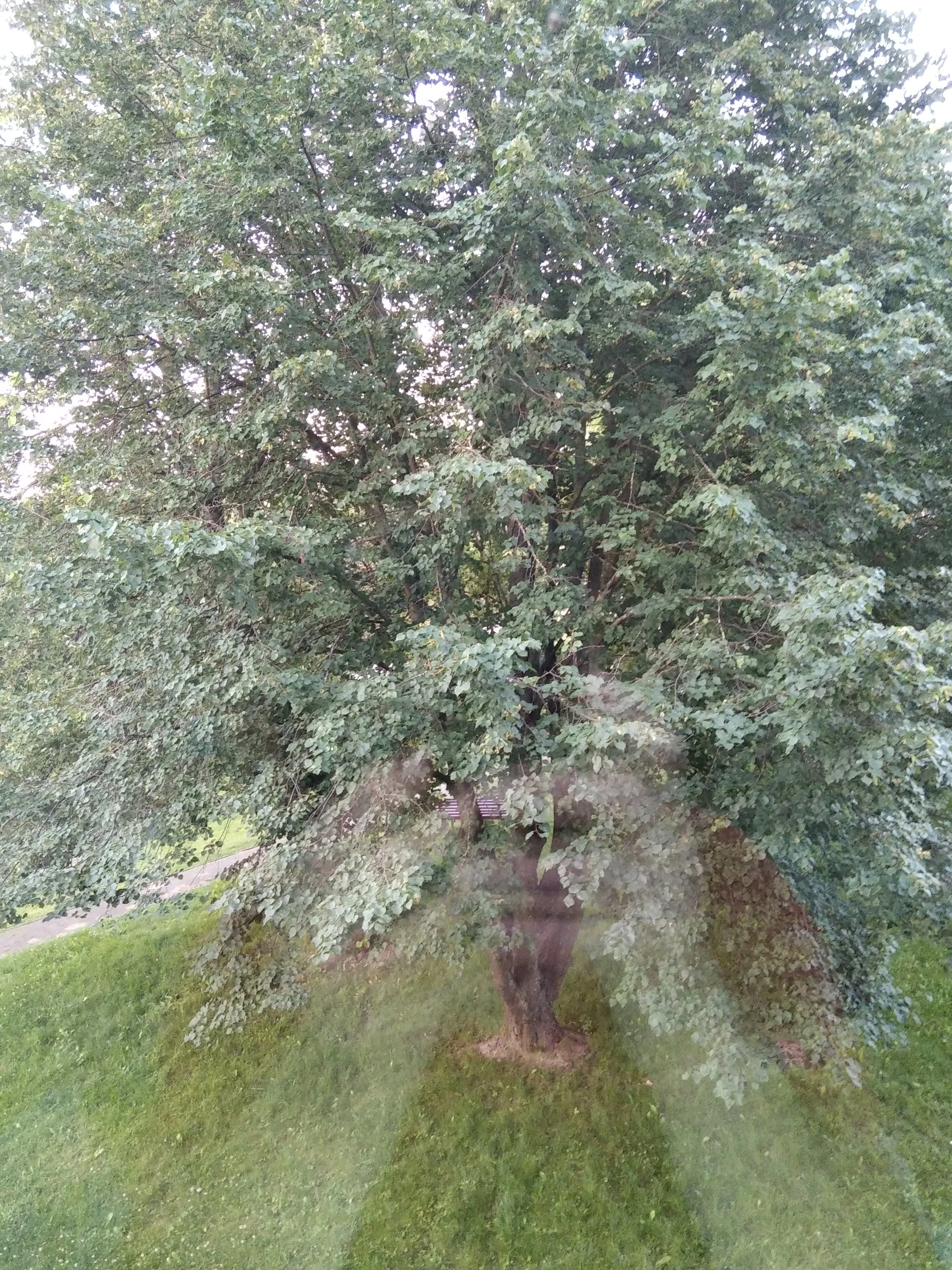 [USER=44324]@Селена13[/USER] (4).jpg