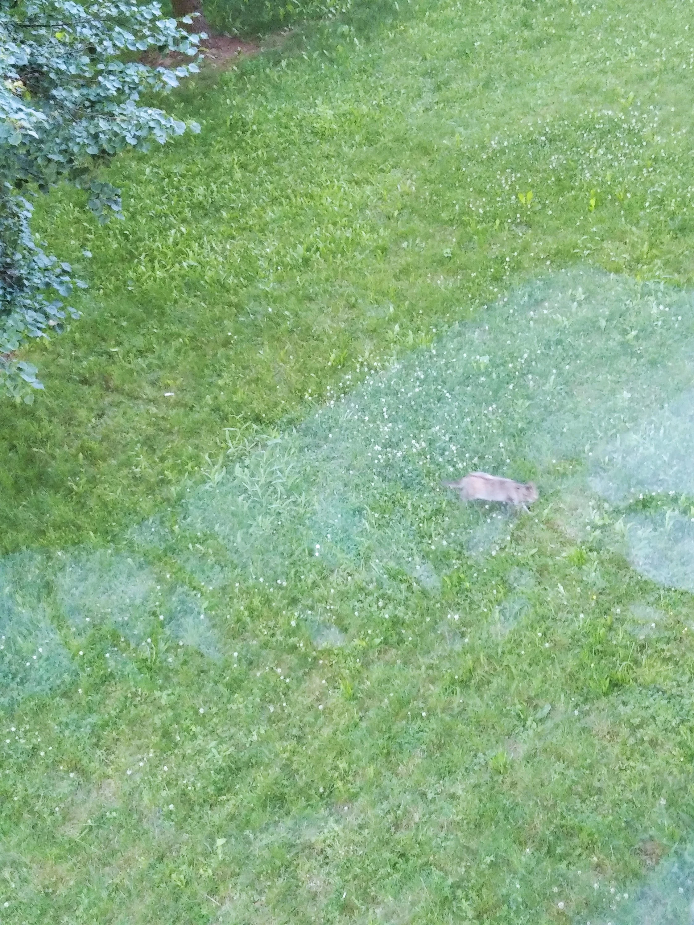 [USER=44324]@Селена13[/USER] (5).jpg