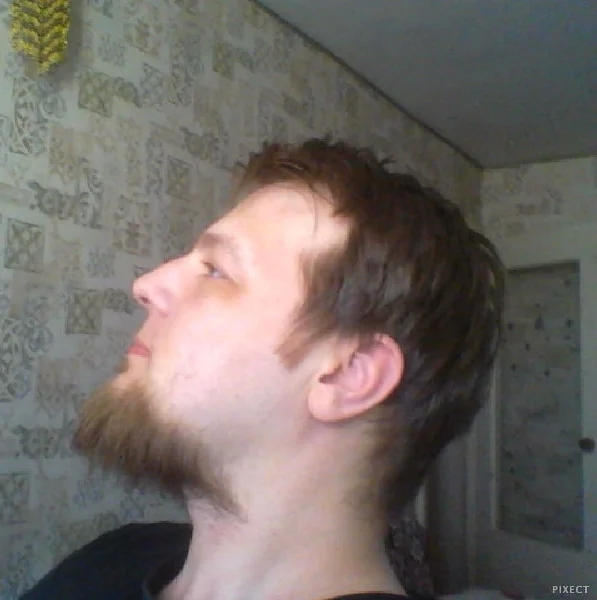 selfi.webp