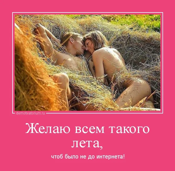 сено.webp